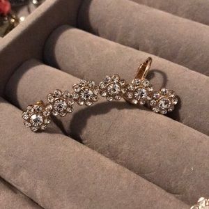 Sparkly ear crawlers